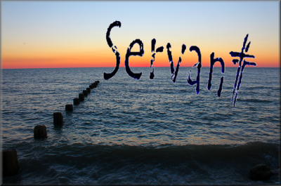 YOU’VE GOT TO SERVE SOMEBODY